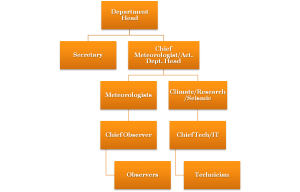 MDS Org. Chart